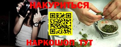 шишки Краснодар