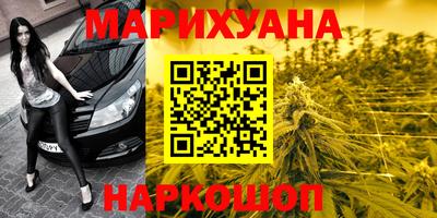 шишки Краснодар