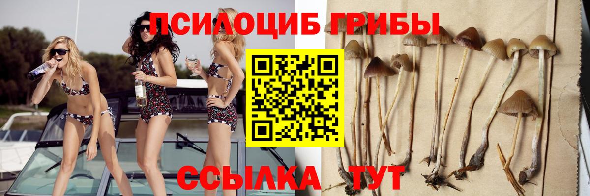 Галлюциногенные грибы прущие грибы  Вход с VPN  Горячий Ключ 